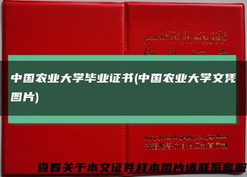 中国农业大学毕业证书(中国农业大学文凭图片)缩略图