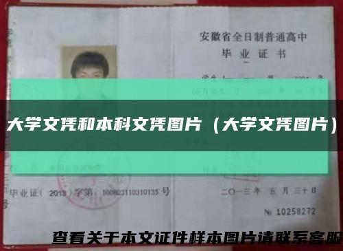 大学文凭和本科文凭图片（大学文凭图片）缩略图