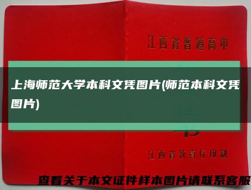 上海师范大学本科文凭图片(师范本科文凭图片)缩略图