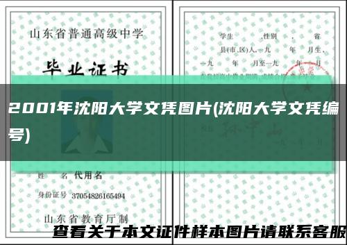 2001年沈阳大学文凭图片(沈阳大学文凭编号)缩略图