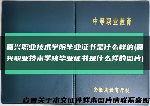 嘉兴职业技术学院毕业证书是什么样的(嘉兴职业技术学院毕业证书是什么样的图片)缩略图