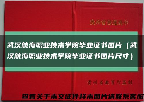 武汉航海职业技术学院毕业证书图片（武汉航海职业技术学院毕业证书图片尺寸）缩略图