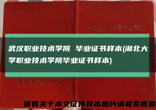 武汉职业技术学院 毕业证书样本(湖北大学职业技术学院毕业证书样本)缩略图