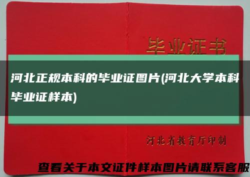 河北正规本科的毕业证图片(河北大学本科毕业证样本)缩略图