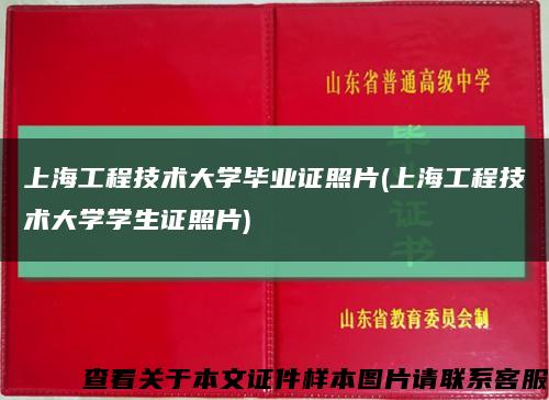上海工程技术大学毕业证照片(上海工程技术大学学生证照片)缩略图