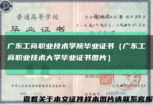 广东工商职业技术学院毕业证书（广东工商职业技术大学毕业证书图片）缩略图