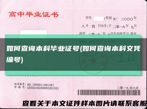 如何查询本科毕业证号(如何查询本科文凭编号)缩略图