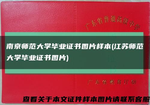 南京师范大学毕业证书图片样本(江苏师范大学毕业证书图片)缩略图