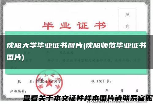沈阳大学毕业证书图片(沈阳师范毕业证书图片)缩略图