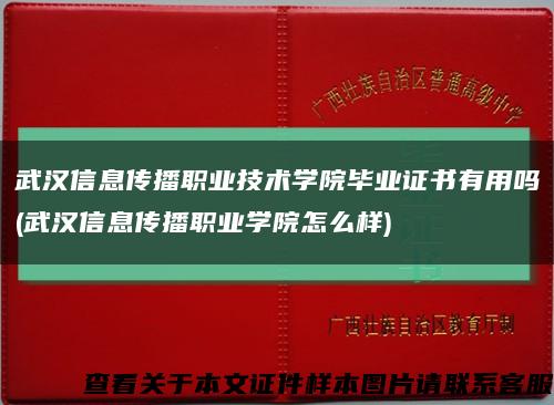 武汉信息传播职业技术学院毕业证书有用吗(武汉信息传播职业学院怎么样)缩略图