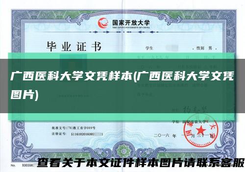 广西医科大学文凭样本(广西医科大学文凭图片)缩略图