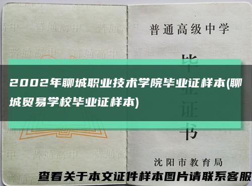 2002年聊城职业技术学院毕业证样本(聊城贸易学校毕业证样本)缩略图