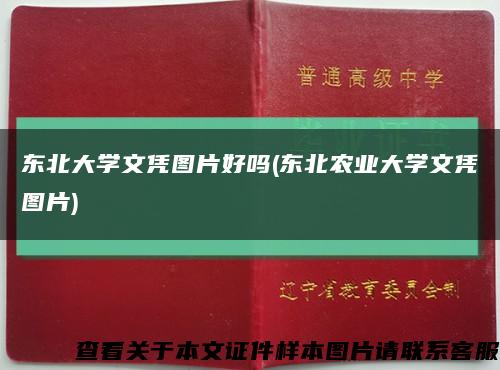东北大学文凭图片好吗(东北农业大学文凭图片)缩略图