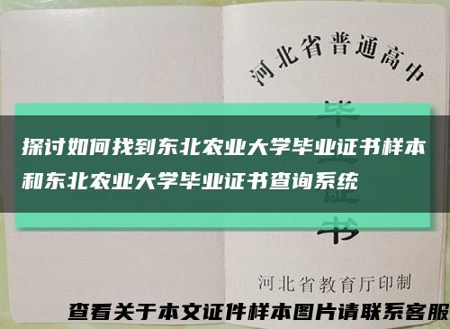 探讨如何找到东北农业大学毕业证书样本和东北农业大学毕业证书查询系统缩略图