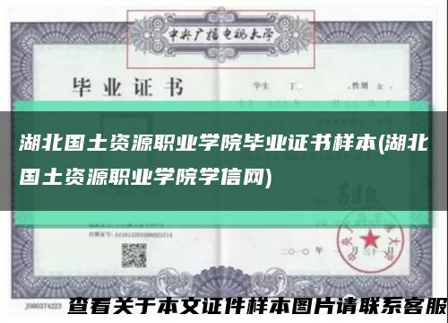 湖北国土资源职业学院毕业证书样本(湖北国土资源职业学院学信网)缩略图