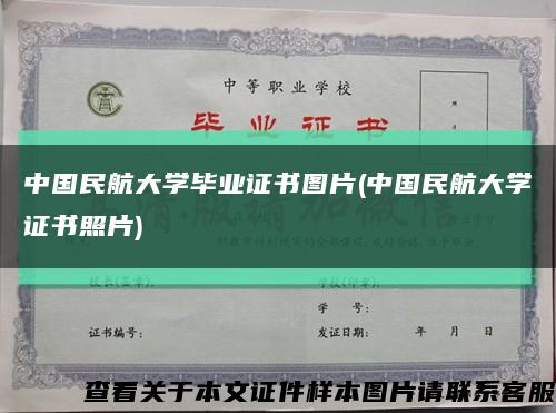 中国民航大学毕业证书图片(中国民航大学证书照片)缩略图