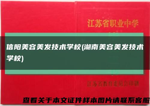 信阳美容美发技术学校(湖南美容美发技术学校)缩略图