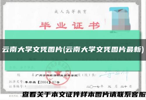云南大学文凭图片(云南大学文凭图片最新)缩略图
