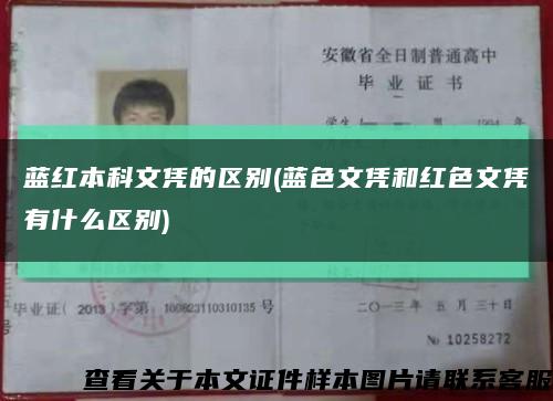 蓝红本科文凭的区别(蓝色文凭和红色文凭有什么区别)缩略图