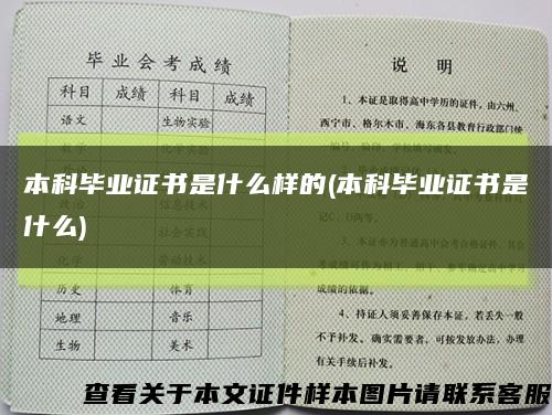 本科毕业证书是什么样的(本科毕业证书是什么)缩略图