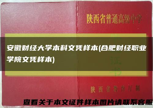 安徽财经大学本科文凭样本(合肥财经职业学院文凭样本)缩略图