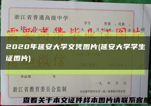 2020年延安大学文凭图片(延安大学学生证图片)缩略图