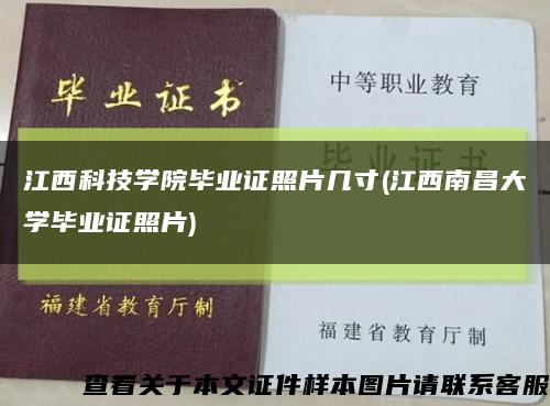 江西科技学院毕业证照片几寸(江西南昌大学毕业证照片)缩略图