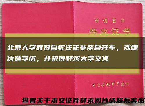 北京大学教授自称任正非亲自开车，涉嫌伪造学历，并获得野鸡大学文凭缩略图