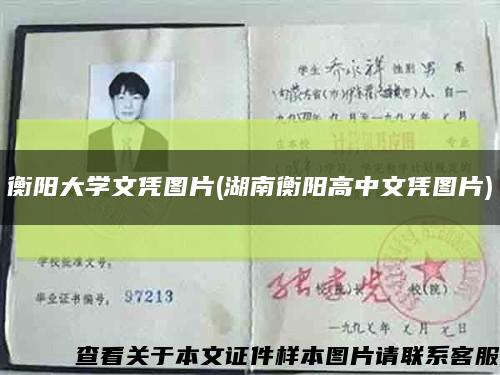 衡阳大学文凭图片(湖南衡阳高中文凭图片)缩略图