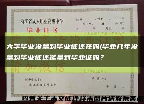 大学毕业没拿到毕业证还在吗(毕业几年没拿到毕业证还能拿到毕业证吗？缩略图