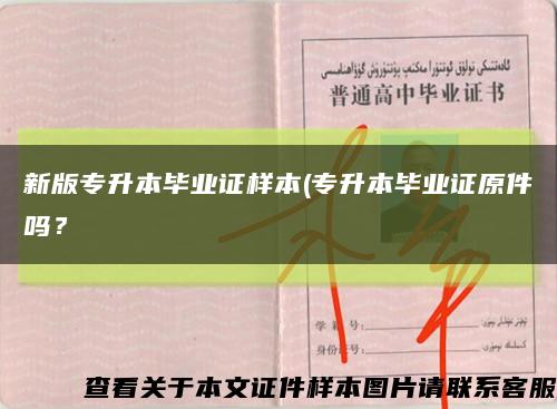 新版专升本毕业证样本(专升本毕业证原件吗？缩略图