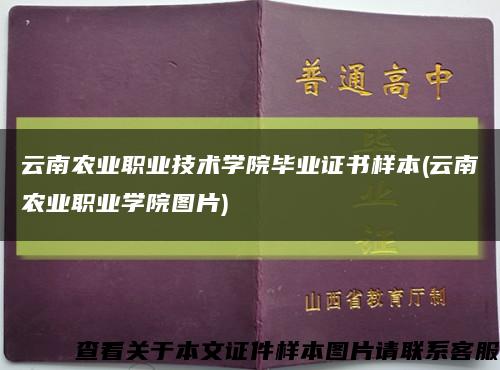 云南农业职业技术学院毕业证书样本(云南农业职业学院图片)缩略图