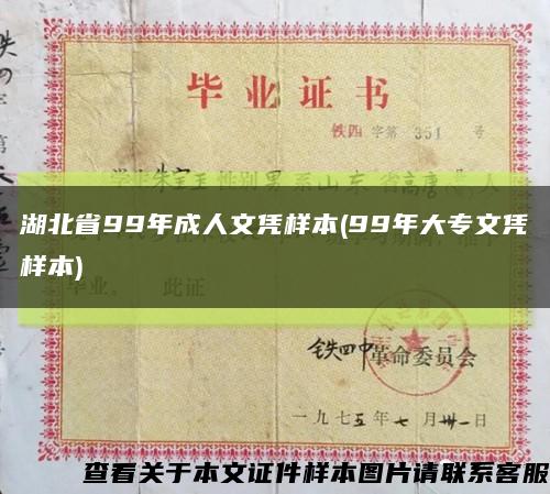 湖北省99年成人文凭样本(99年大专文凭样本)缩略图