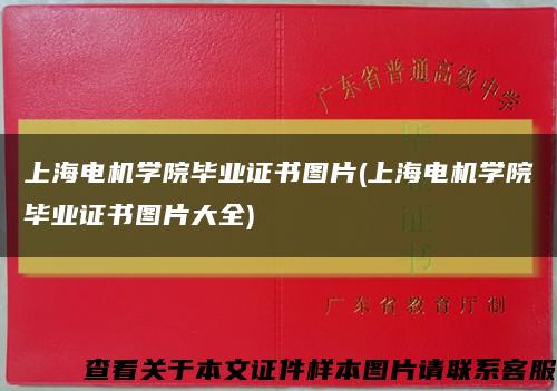上海电机学院毕业证书图片(上海电机学院毕业证书图片大全)缩略图