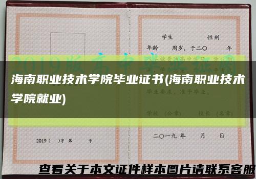 海南职业技术学院毕业证书(海南职业技术学院就业)缩略图