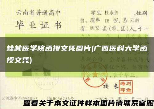 桂林医学院函授文凭图片(广西医科大学函授文凭)缩略图