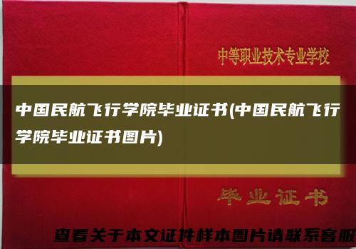 中国民航飞行学院毕业证书(中国民航飞行学院毕业证书图片)缩略图
