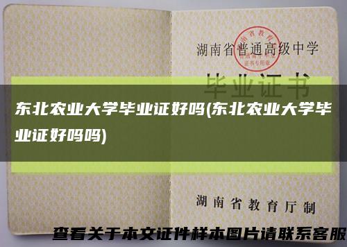 东北农业大学毕业证好吗(东北农业大学毕业证好吗吗)缩略图