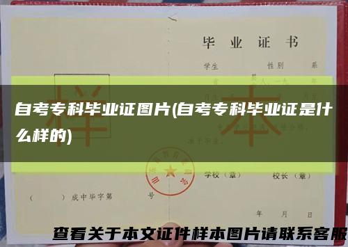 自考专科毕业证图片(自考专科毕业证是什么样的)缩略图