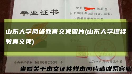 山东大学网络教育文凭图片(山东大学继续教育文凭)缩略图