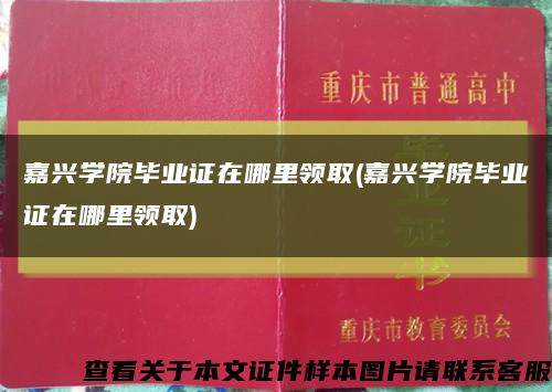 嘉兴学院毕业证在哪里领取(嘉兴学院毕业证在哪里领取)缩略图