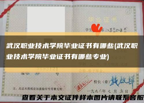武汉职业技术学院毕业证书有哪些(武汉职业技术学院毕业证书有哪些专业)缩略图