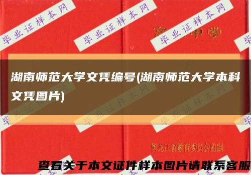 湖南师范大学文凭编号(湖南师范大学本科文凭图片)缩略图