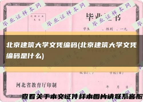 北京建筑大学文凭编码(北京建筑大学文凭编码是什么)缩略图