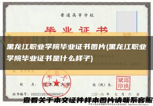 黑龙江职业学院毕业证书图片(黑龙江职业学院毕业证书是什么样子)缩略图