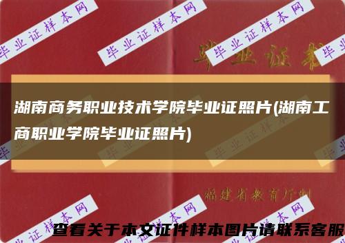 湖南商务职业技术学院毕业证照片(湖南工商职业学院毕业证照片)缩略图