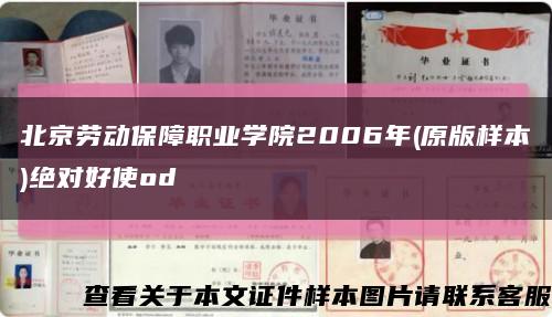 北京劳动保障职业学院2006年(原版样本)绝对好使od缩略图
