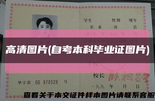 高清图片(自考本科毕业证图片)缩略图