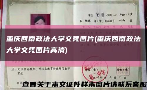 重庆西南政法大学文凭图片(重庆西南政法大学文凭图片高清)缩略图