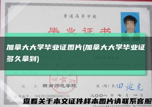 加拿大大学毕业证图片(加拿大大学毕业证多久拿到)缩略图